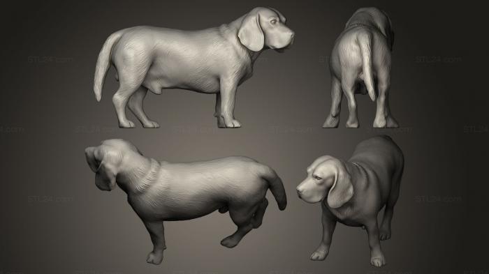 Статуэтки животных (Собака-бигль 09, STKJ_0164) 3D модель для ЧПУ станка
